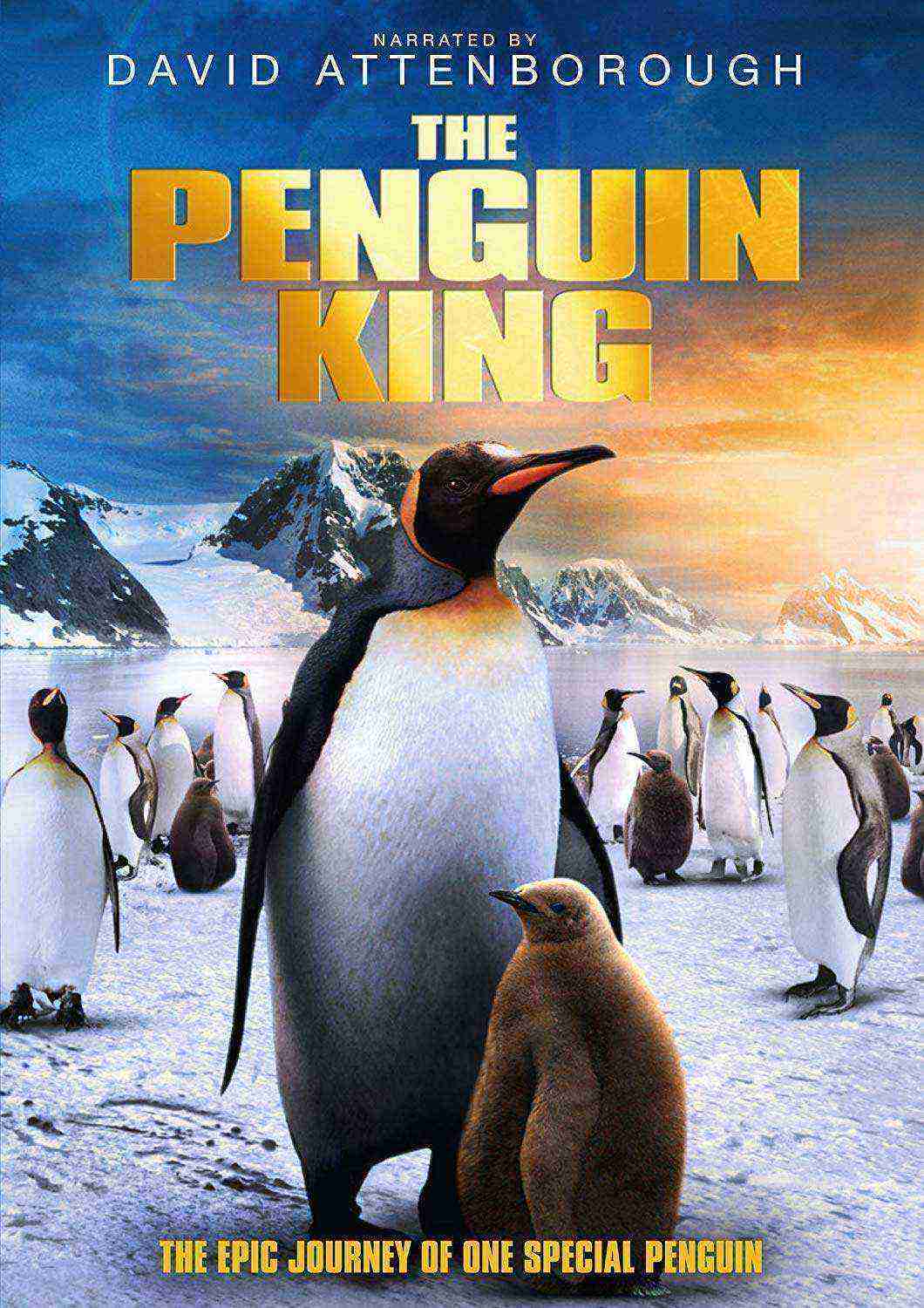Penguins A Love Story (2005)