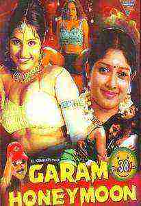Garam Honeymoon (2002)