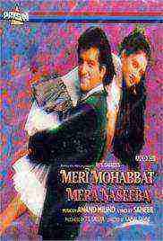 Meri Mohabbat Mera Naseeba (1995)