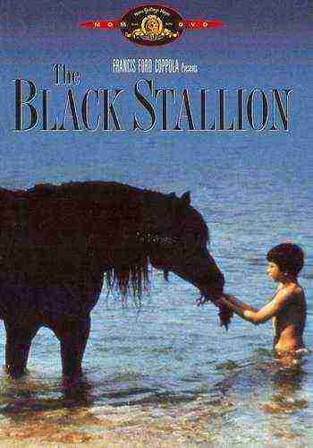 The Black Stallion (1979)