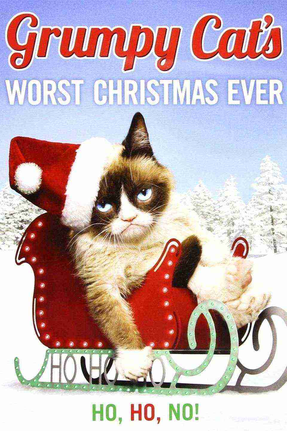 Grumpy Cats Worst Christmas Ever (2014)