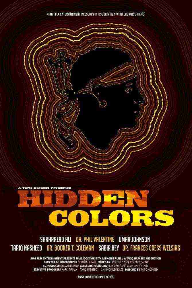 Hidden Colors (2011)