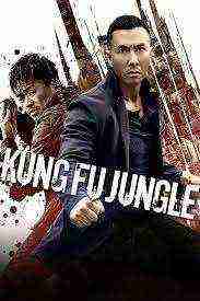 Kung Fu Jungle (2014)