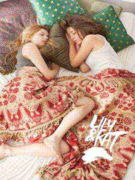 Lily & Kat (2015)