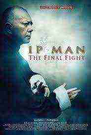 Ip Man: The Final Fight (2013)