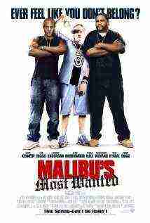 Malibus Most Wanted (2003)