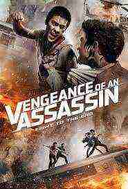Vengeance Of An Assassin (2014)