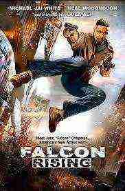 Falcon Rising (2014)
