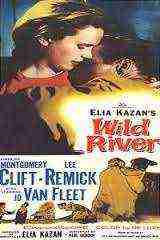 Wild River (1960)