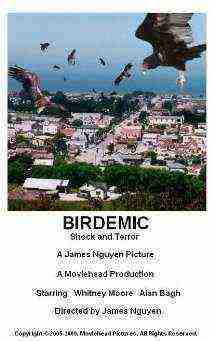 Birdemic Shock and Terror (2010)