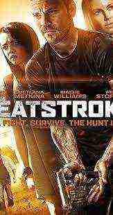 Heatstroke (2013)