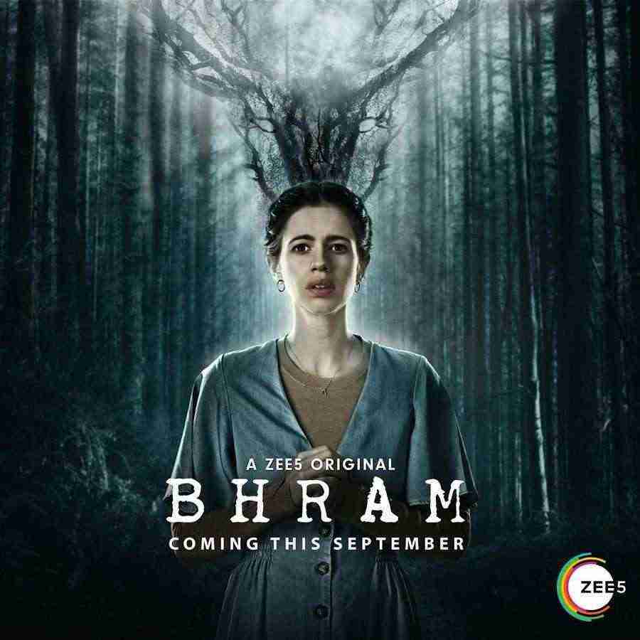 Bhram (2019)