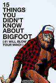 15 Things You Didn't Know About Bigfoot (2021)