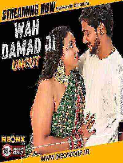 Wah Damad Ji (2024) Neonx Originals (2024)