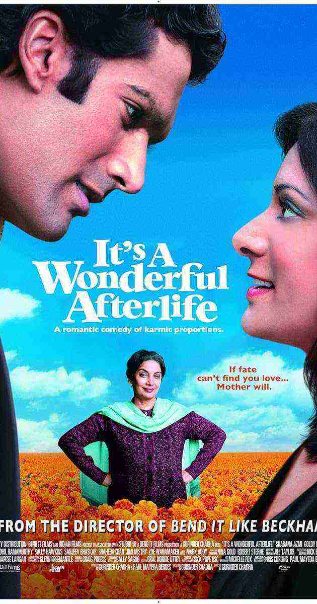 It's a Wonderful Afterlife (2010)