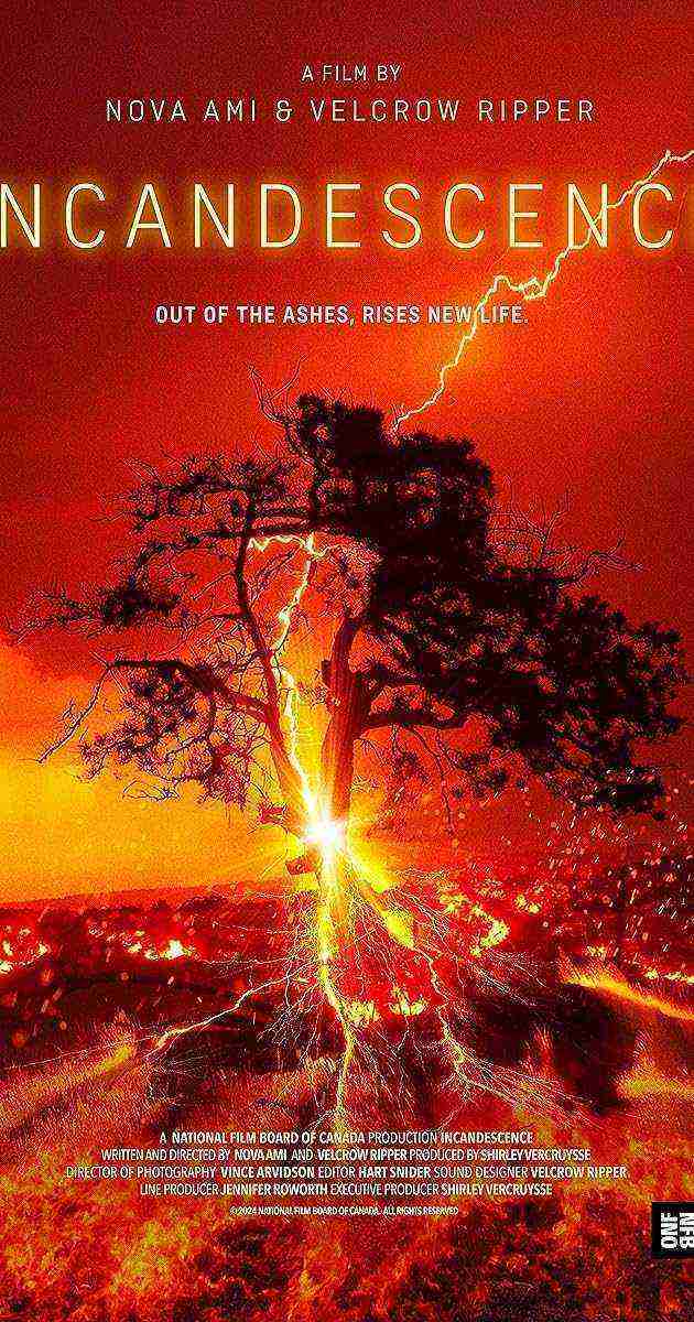 Incandescence (2024)
