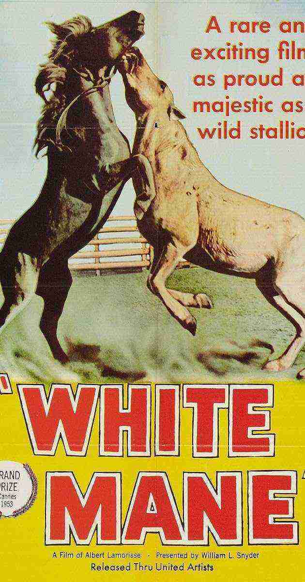 Crin blanc : le cheval sauvage (1953)