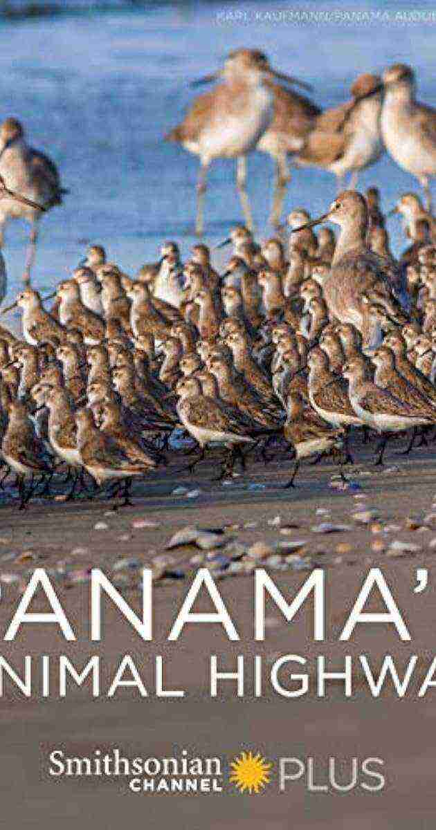 Panama's Animal Highway (2017)
