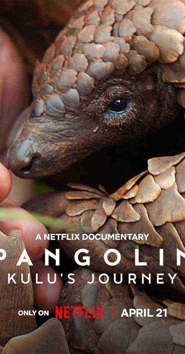 Pangolin: Kulu's Journey (2025)