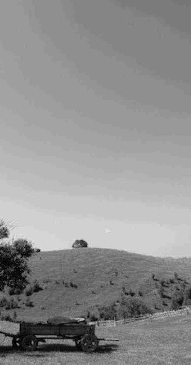 Dem Himmel ganz nah (2010)
