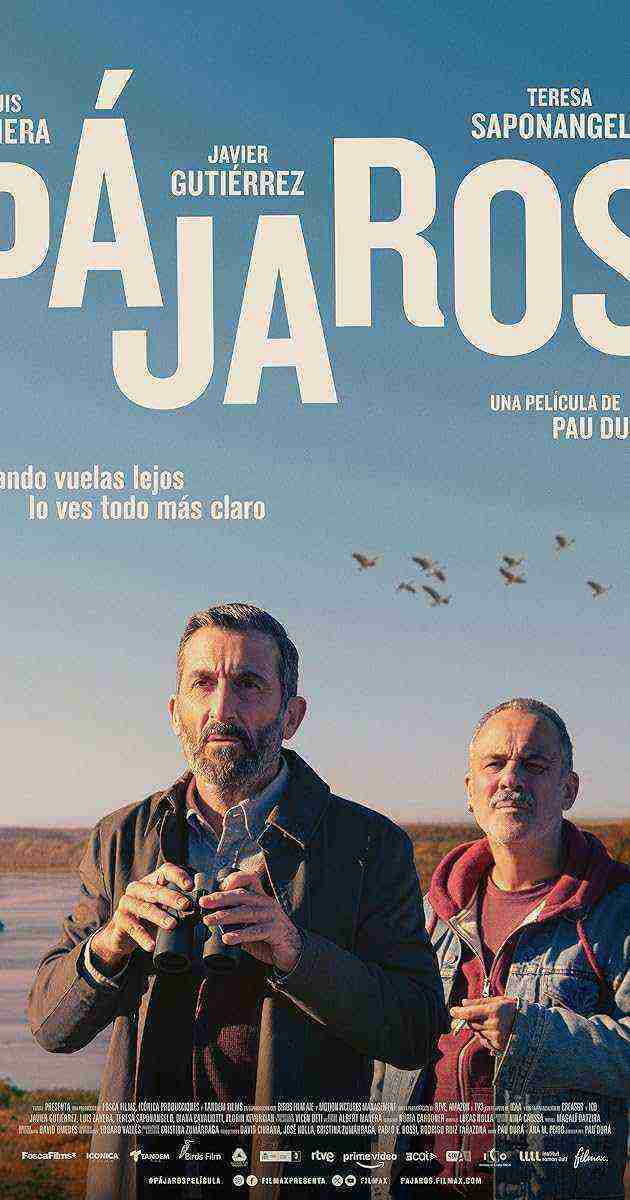 Pájaros (2024)