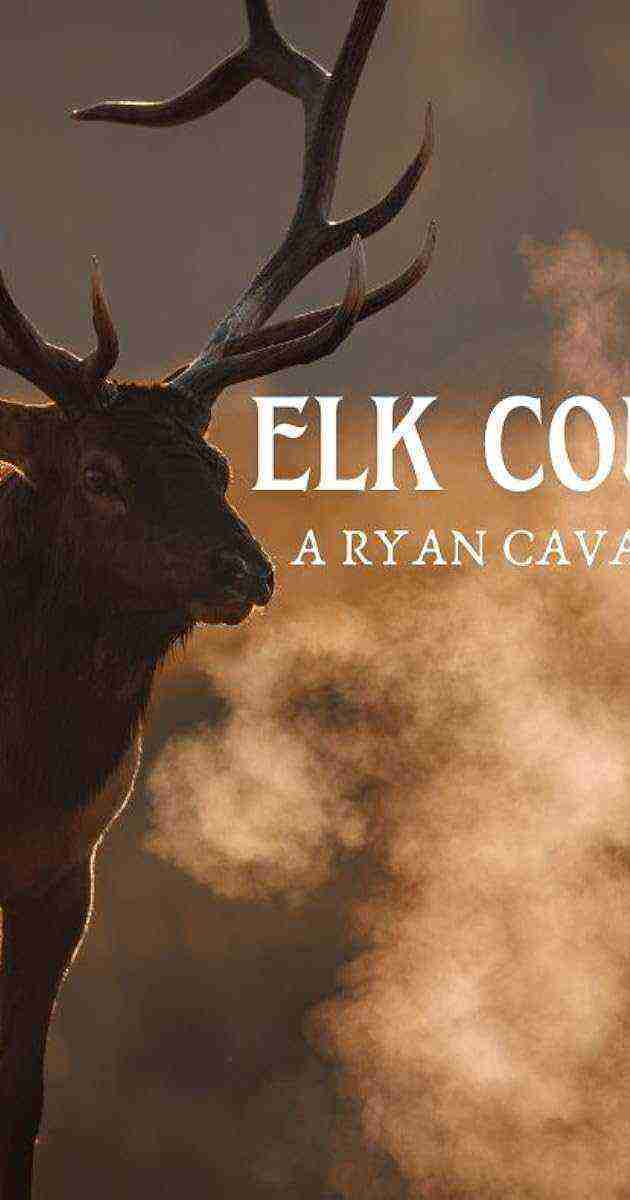 Elk Country (2025)