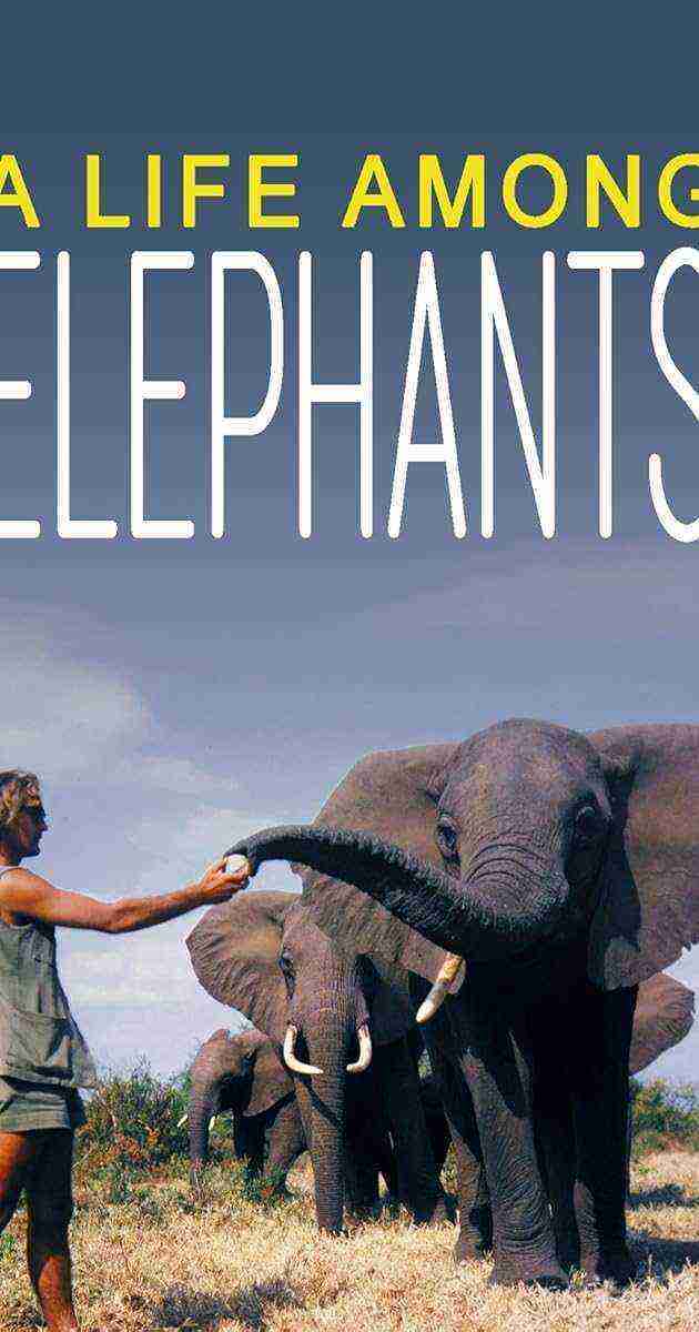 A Life Among Elephants (2024)