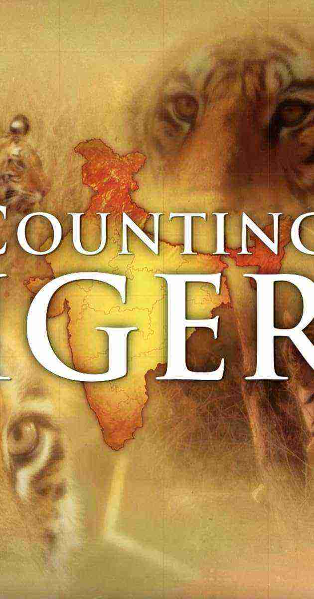 Counting Tigers (2019)