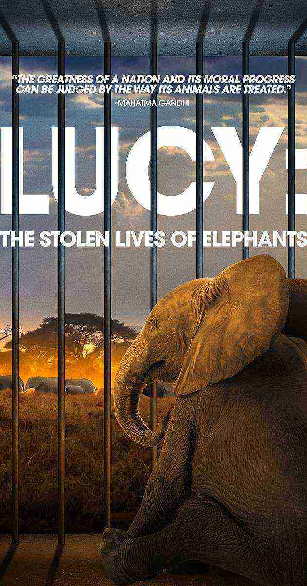 Lucy: The Stolen Lives of Elephants (n/A)