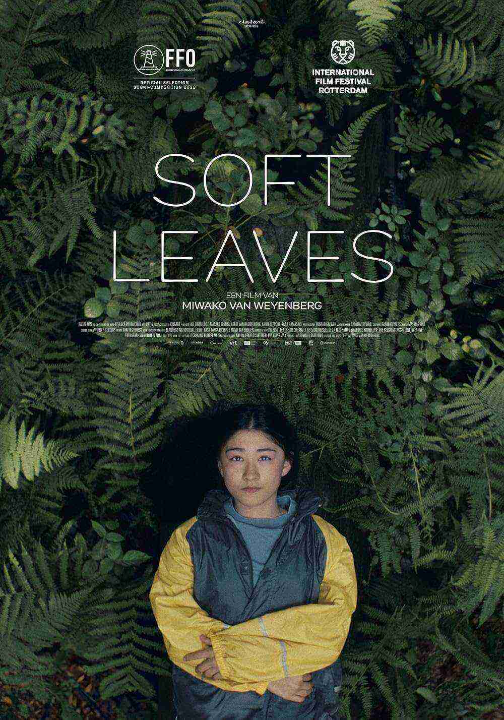 Soft Leaves (2025)