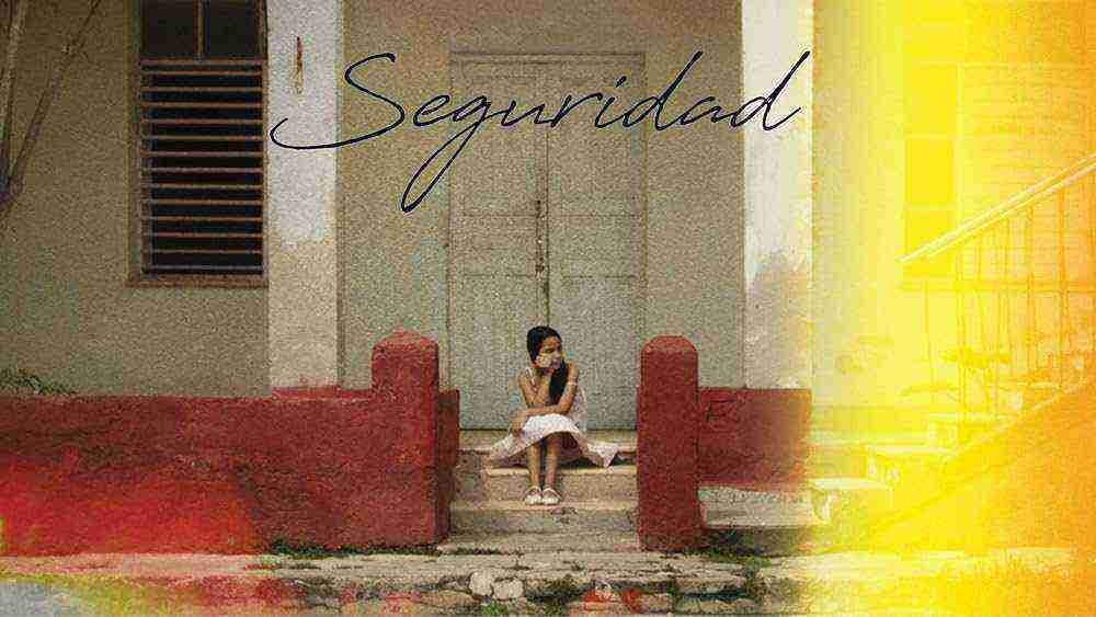 Seguridad (2024)