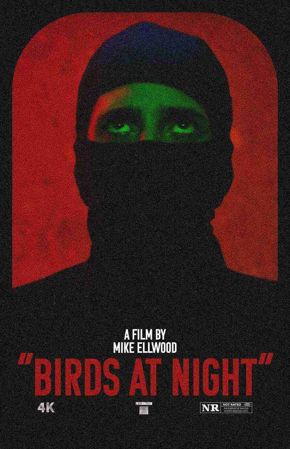 Birds at Night (2023)