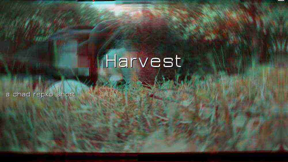 Harvest (2024)