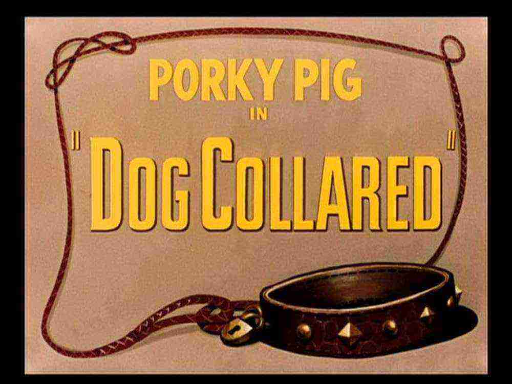 Dog Collared (1950)