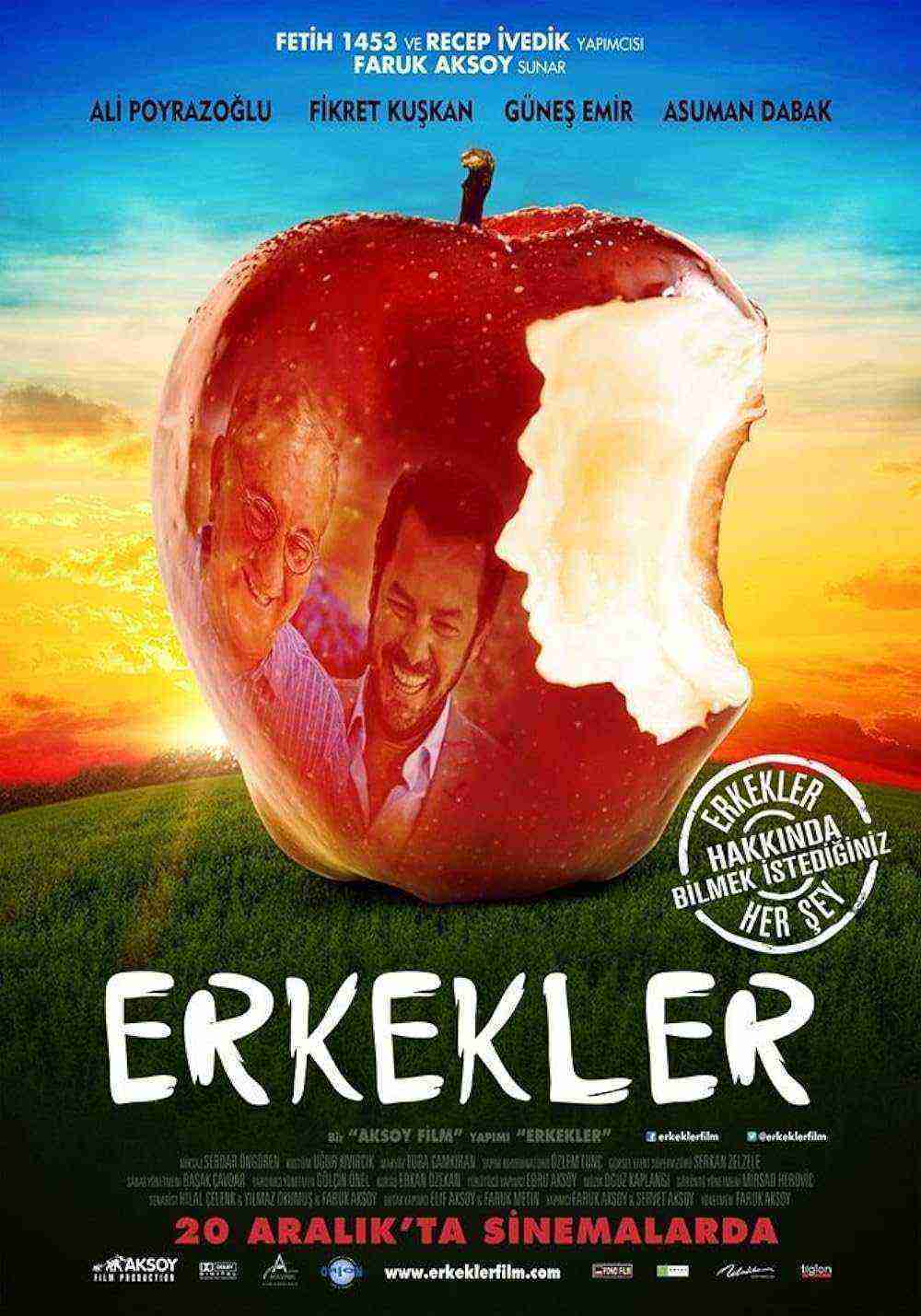 Erkekler (2013)