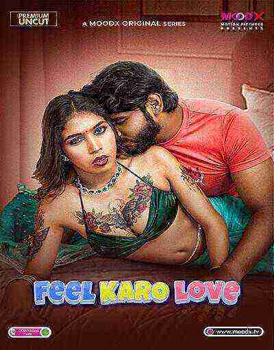 Feel Karo Love (2025) Moodx Originals (2025)