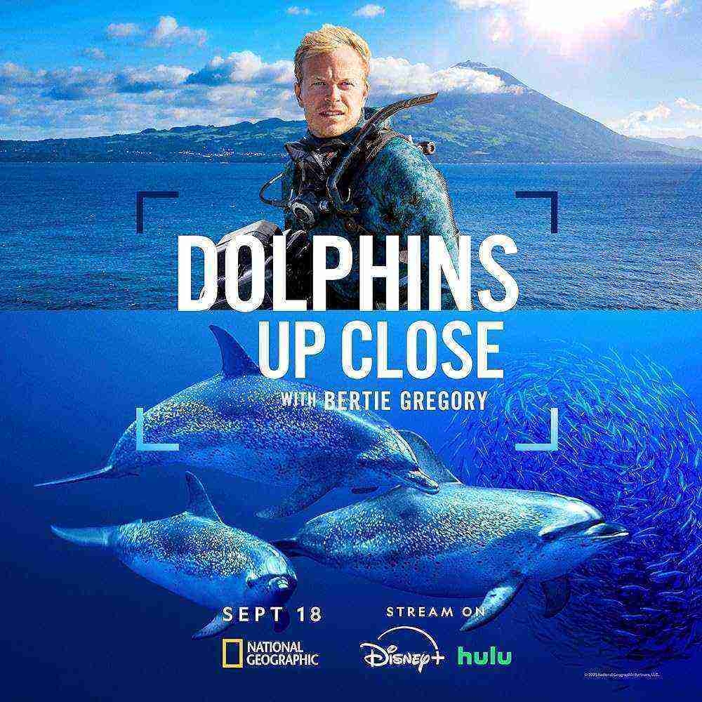 Dolphins Up Close with Bertie Gregory (2025)