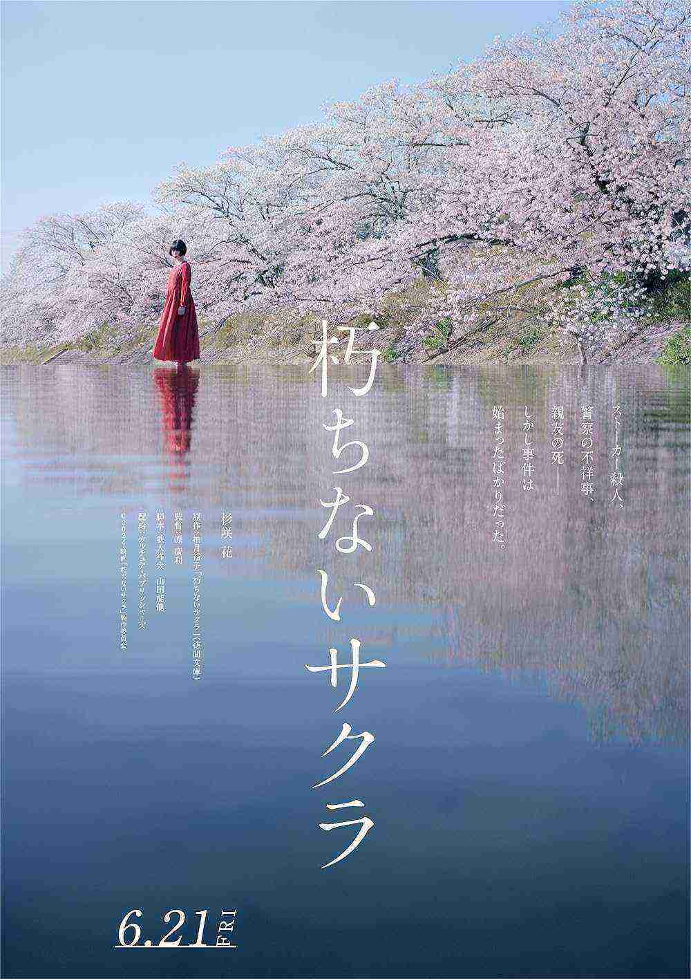 Sakura (2024)
