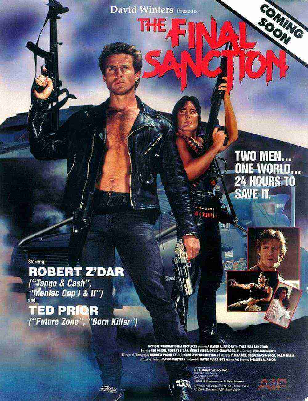 The Final Sanction (1990)