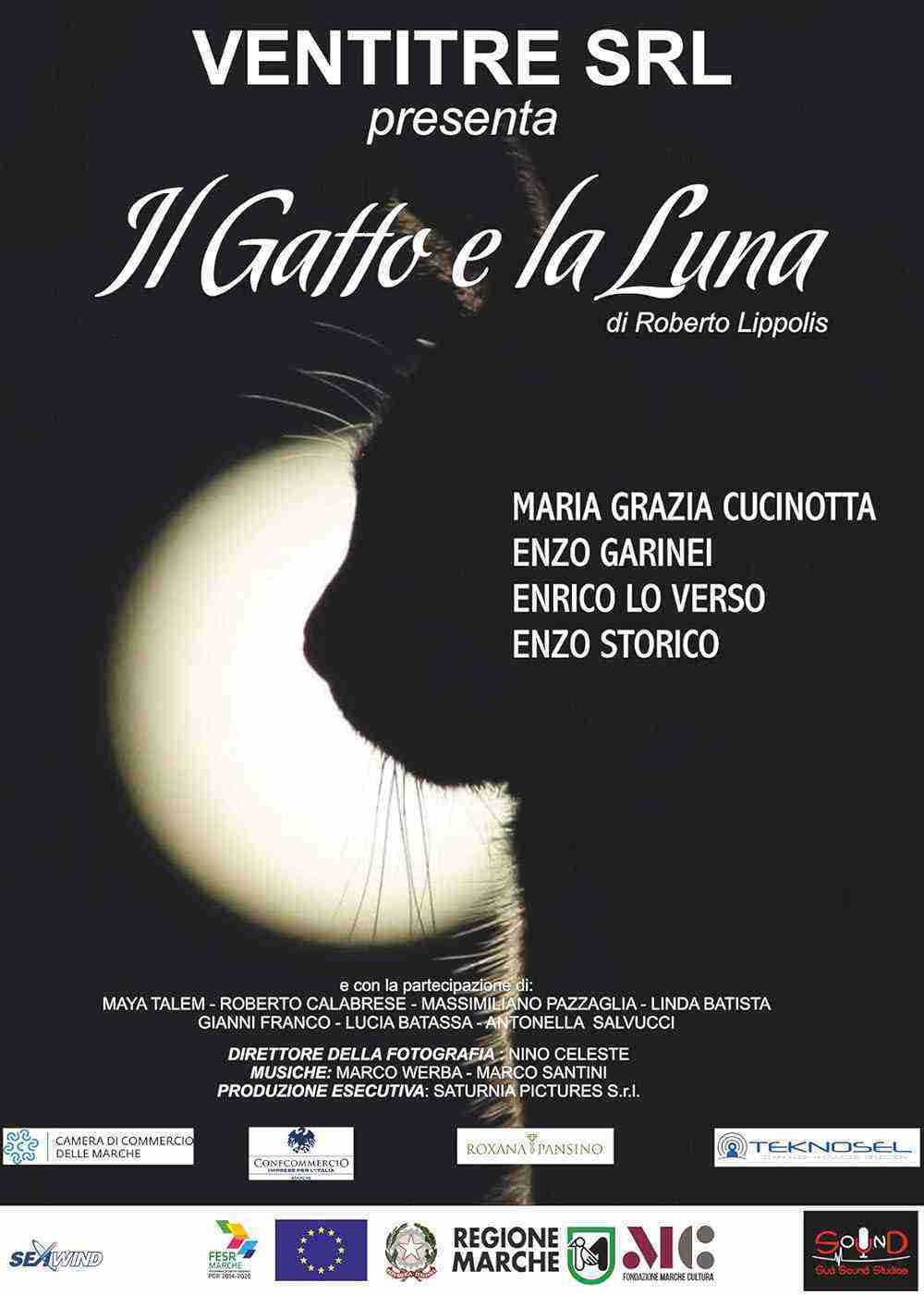 Il gatto e la luna (2019)