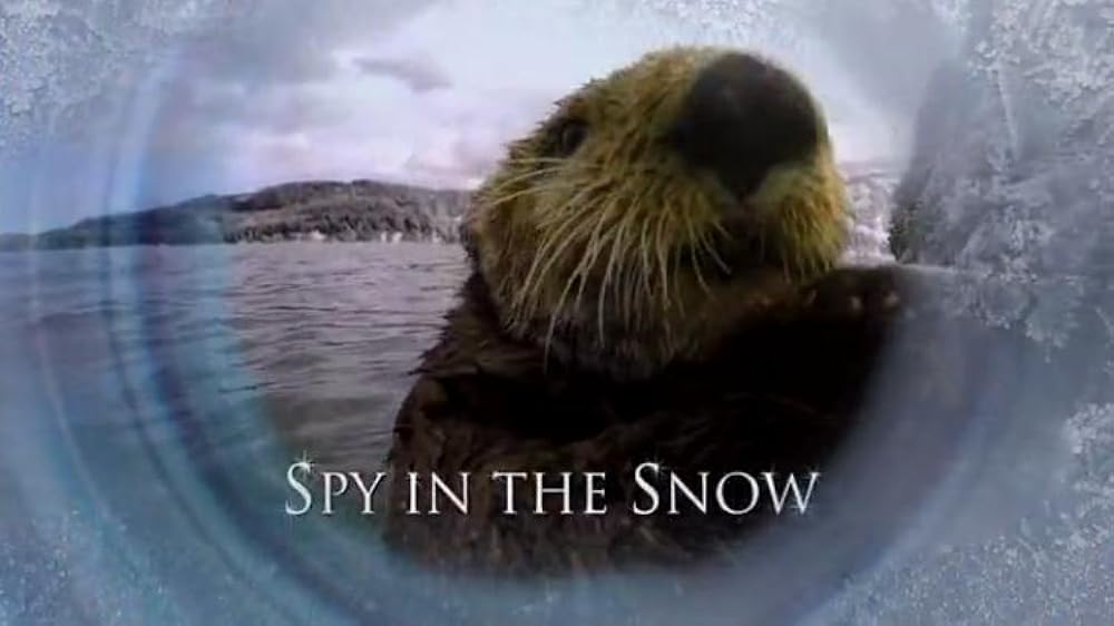 Spy in the Snow (2018)