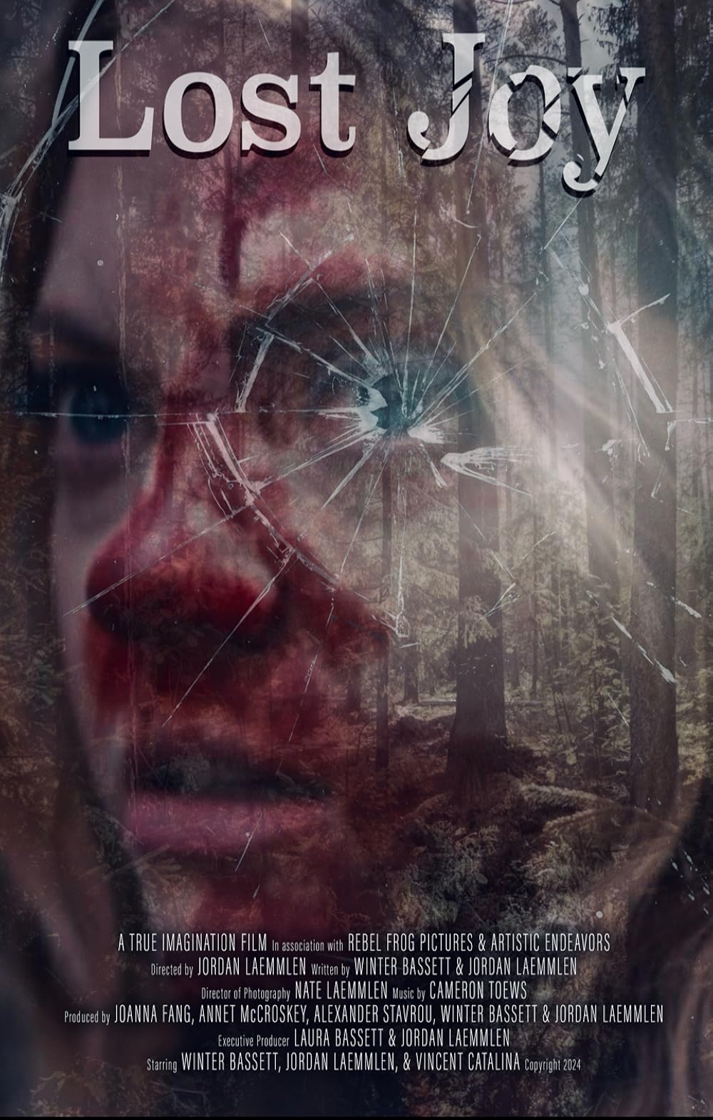 Lost Joy (2025)