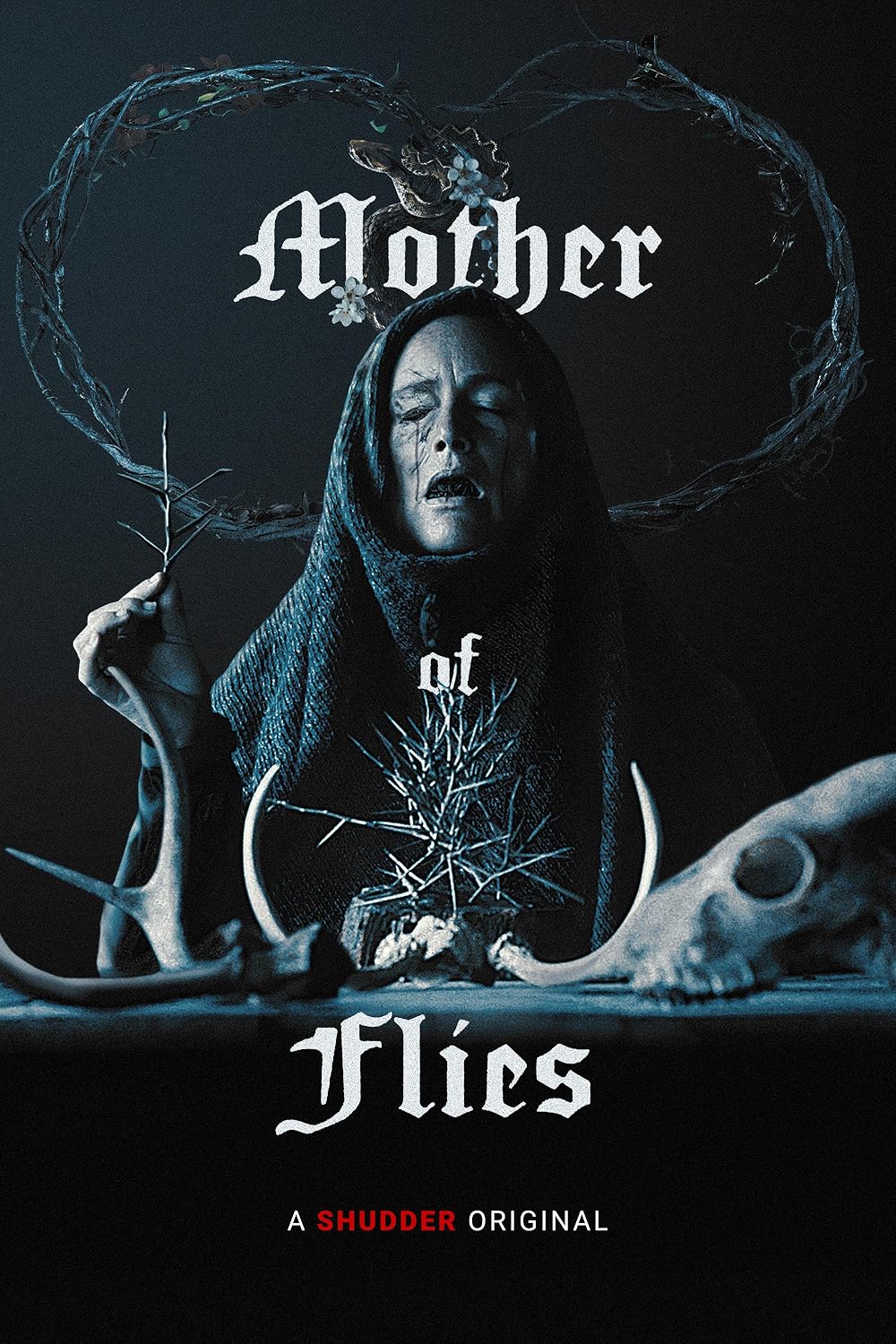 Mother of Flies (2025)