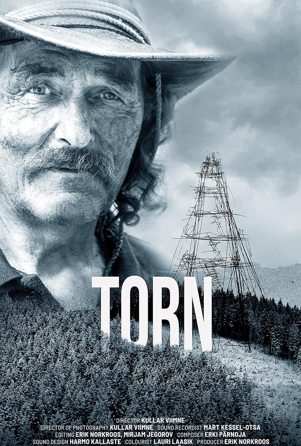 Torn (2024)