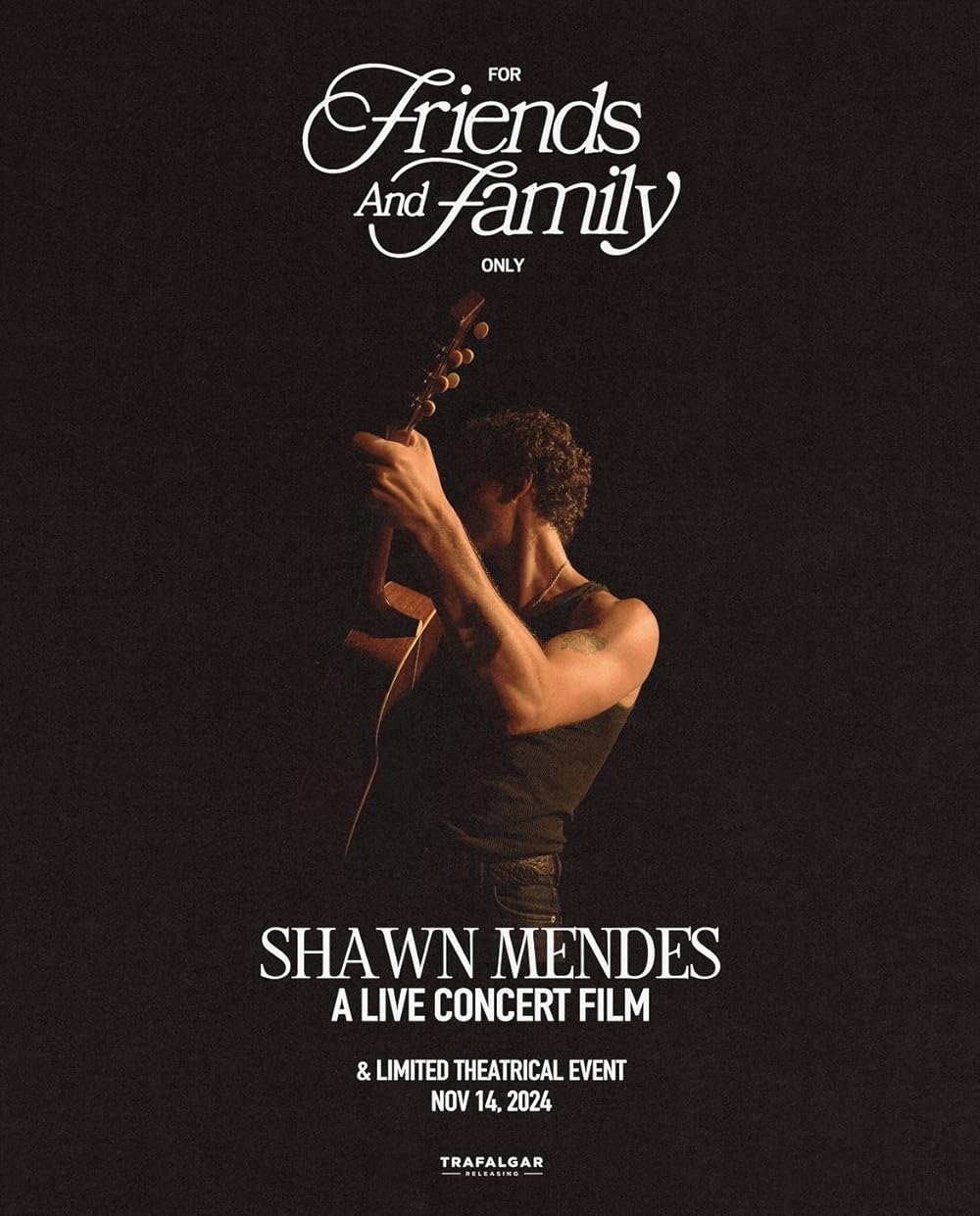 Shawn Mendes: For Friends and Family Only (2024)