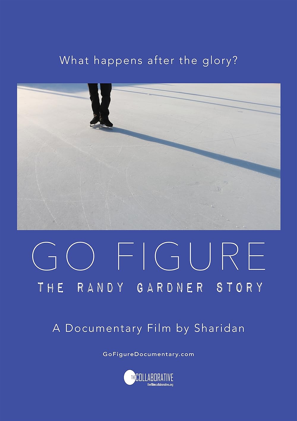 Go Figure: the Randy Gardner Story (2020)