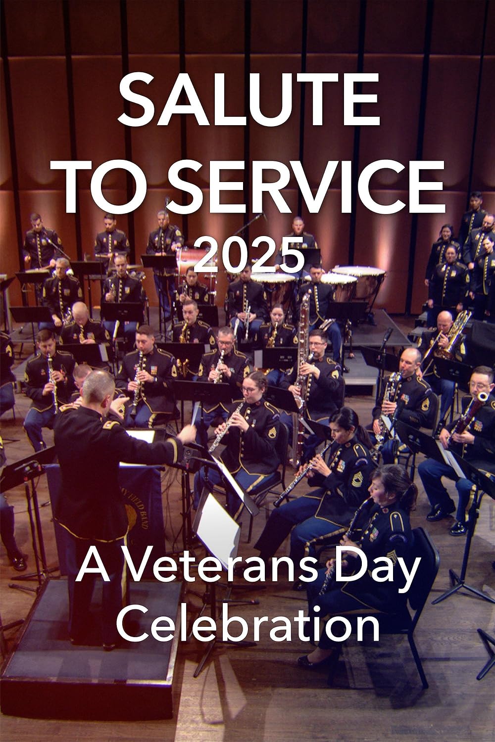 Salute to Service 2025: A Veterans Day Celebration (2025)