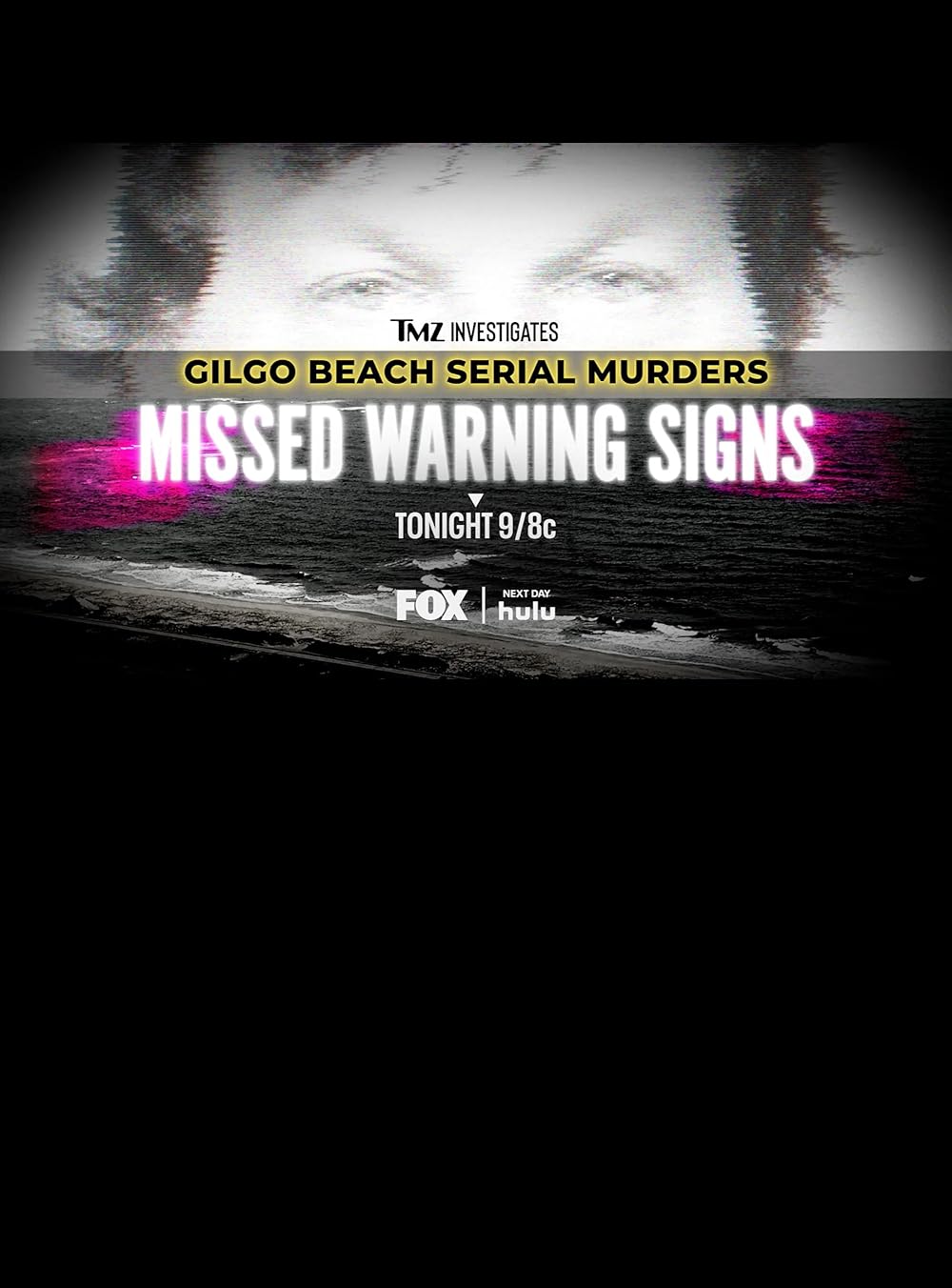 TMZ Investigates: Gilgo Beach Serial Murders: Missed Warning Signs (2023)