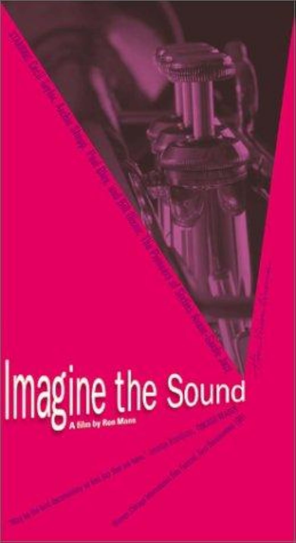 Imagine the Sound (1981)