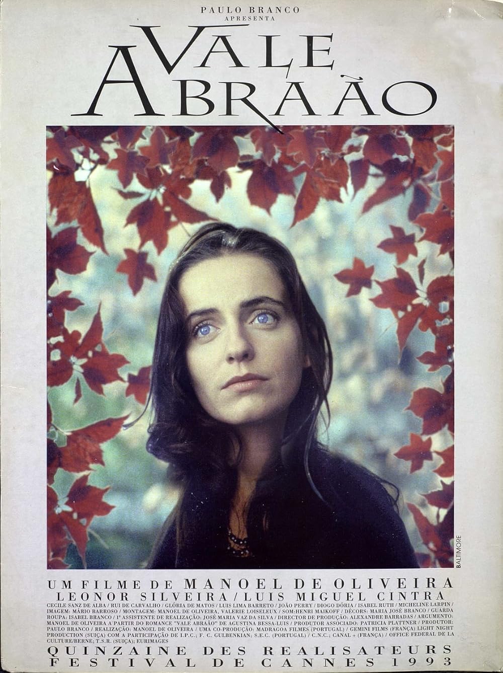 Abraham's Valley (1993)